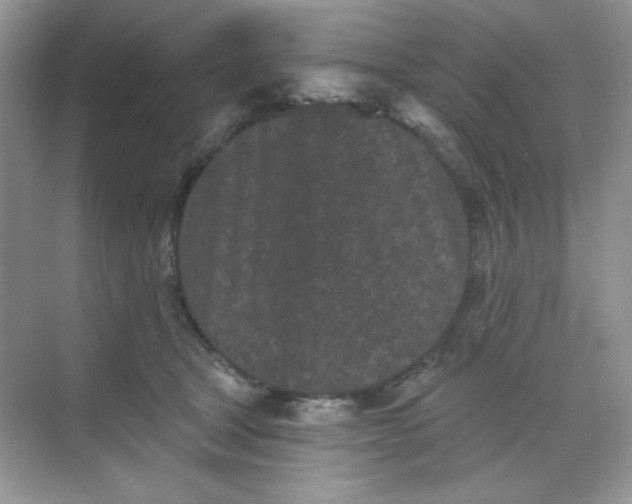 X0000068720465200605121457