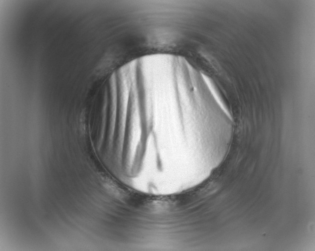 X0000068720466200605121457