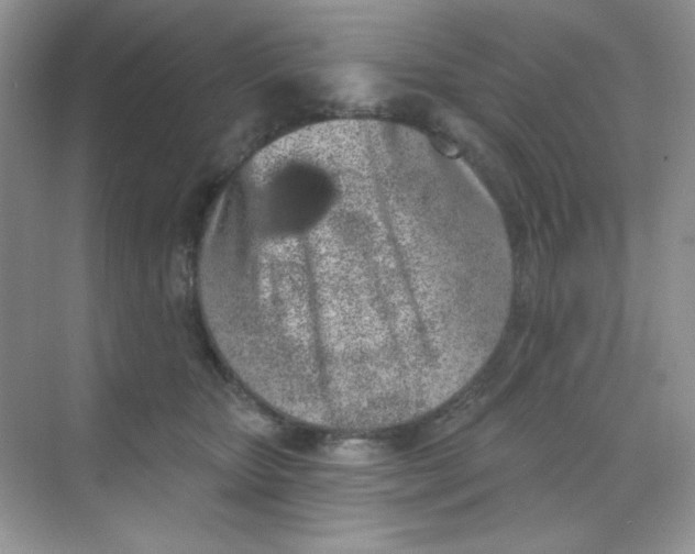 X0000068720467200605121457