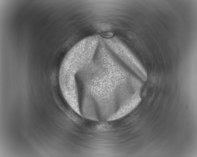 X0000068720468200605121457