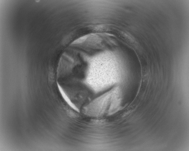 X0000068720469200605121457