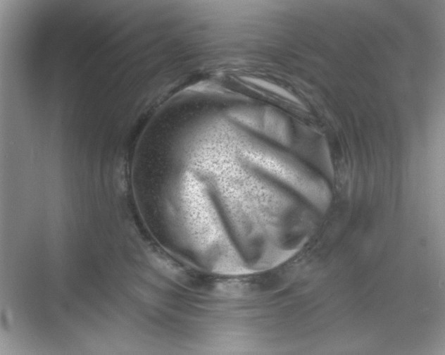 X0000068720470200605121457