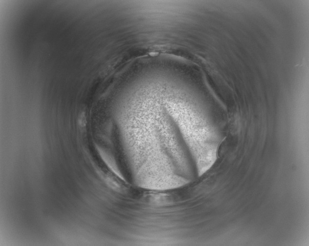 X0000068720472200605121457