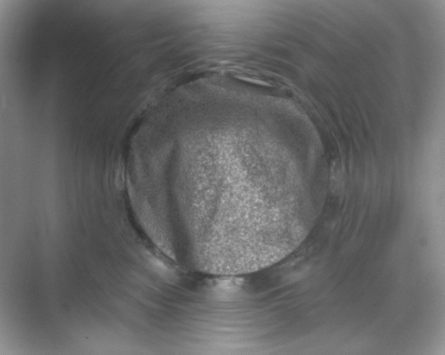 X0000068720474200605121457