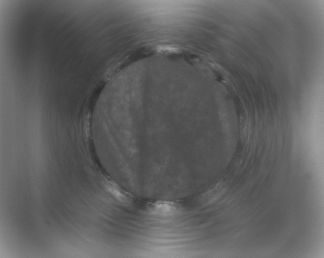 X0000068720475200605121457