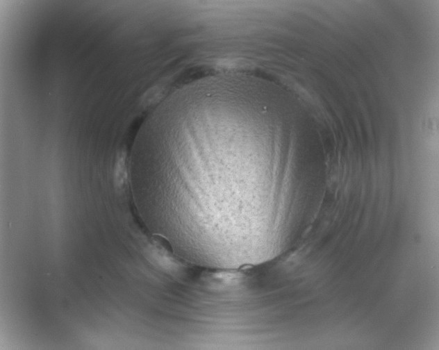 X0000068720478200605121457