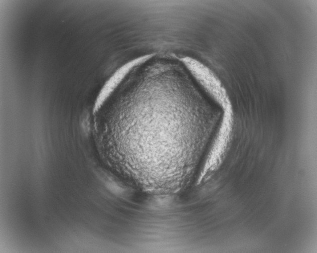 X0000068720479200605121457