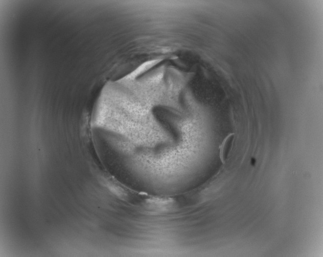 X0000068720480200605121457