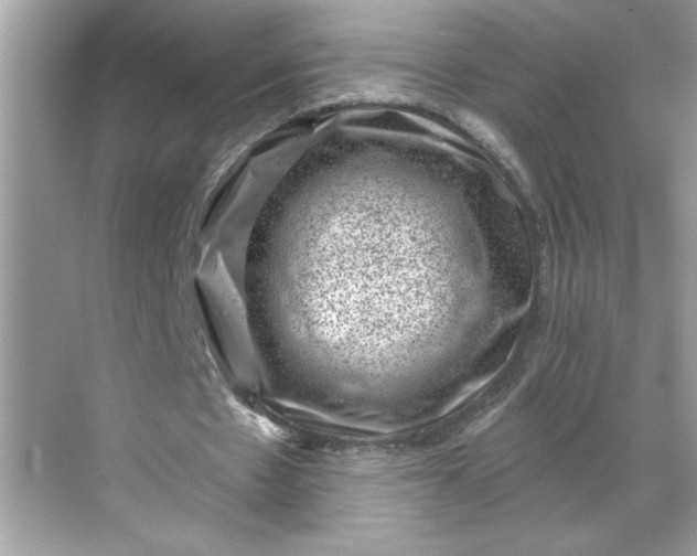 X0000068720481200605121456