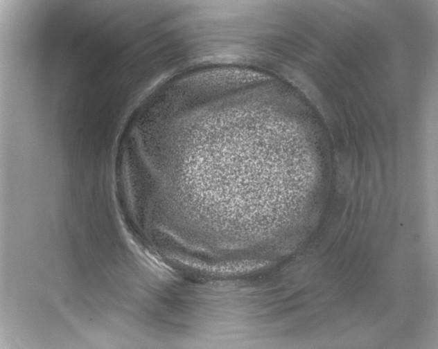 X0000068720482200605121456