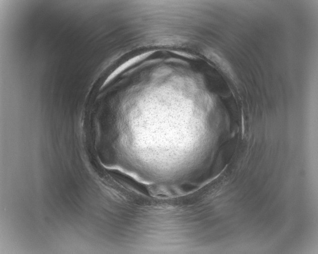 X0000068720483200605121456