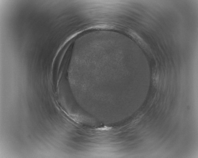 X0000068720484200605121456