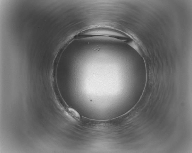 X0000068720485200605121456