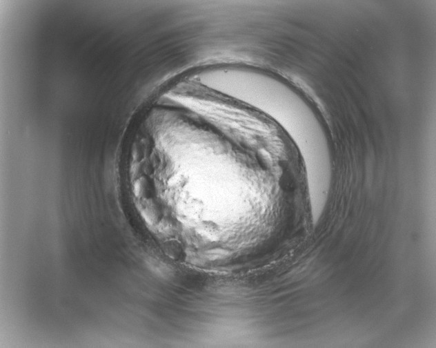 X0000068720487200605121456