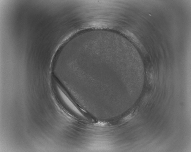 X0000068720488200605121456