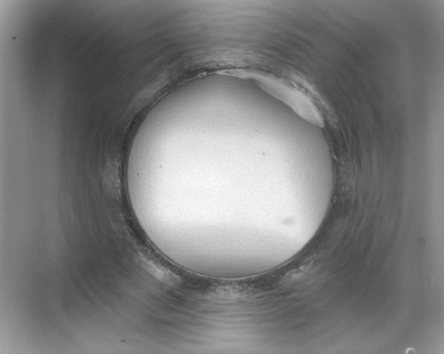 X0000068720489200605121456