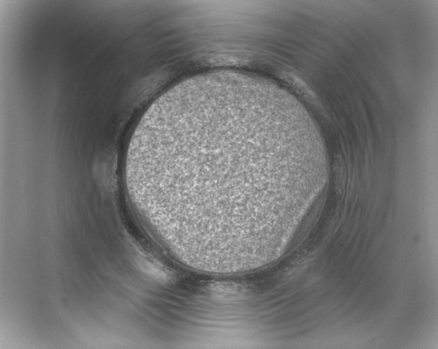 X0000068720490200605121456