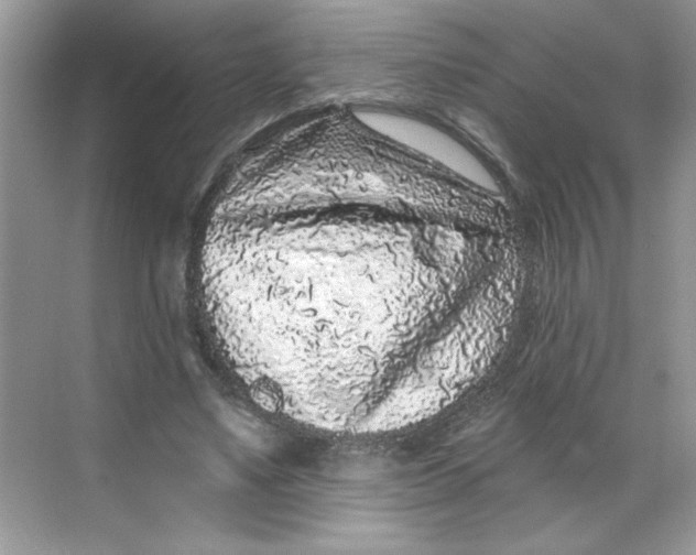 X0000068720491200605121456