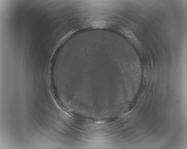 X0000068720492200605121456