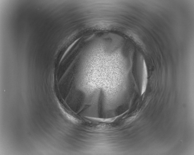 X0000068720493200605121456