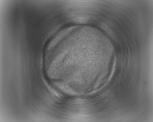 X0000068720494200605121456