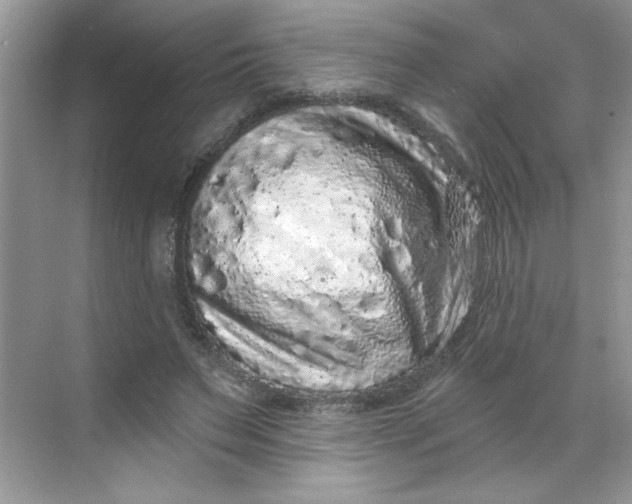 X0000068720495200605121456