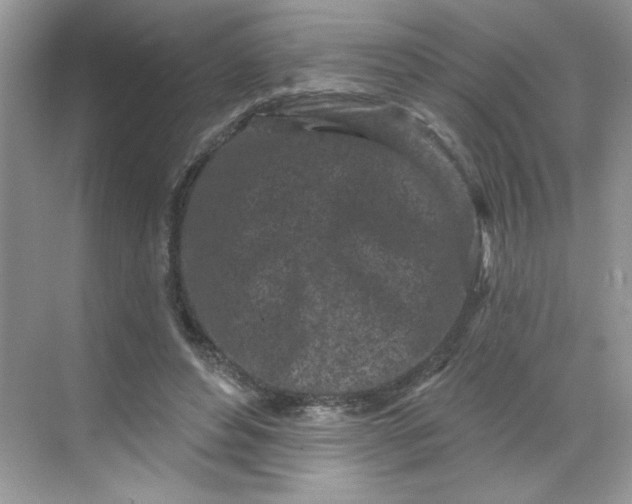 X0000068720496200605121456