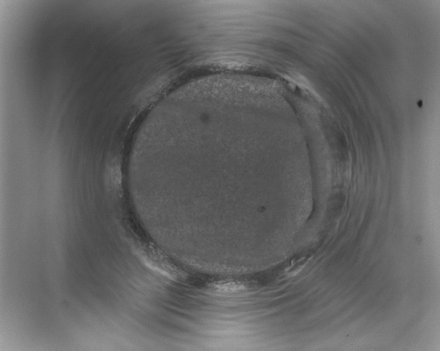 X0000068720500200605121456