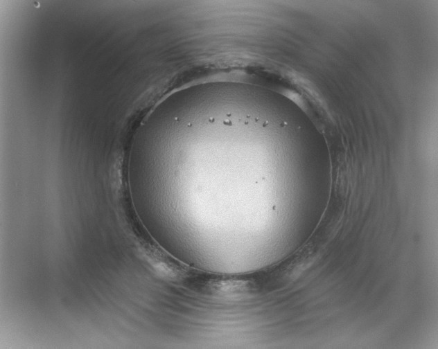 X0000068720501200605121456