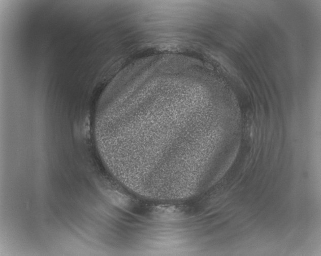 X0000068720502200605121456