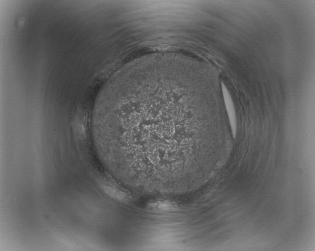 X0000068720503200605121456