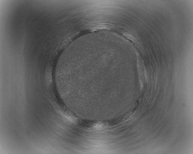 X0000068720504200605121456