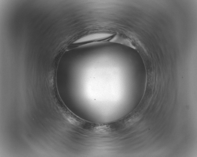 X0000068720505200605121456