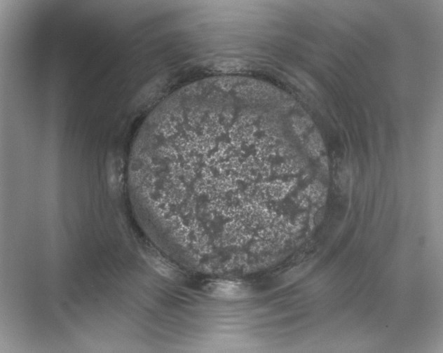 X0000068720507200605121456