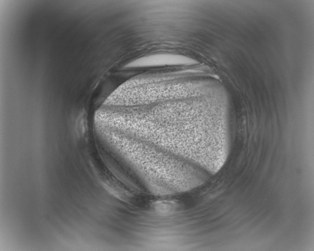 X0000068720508200605121455