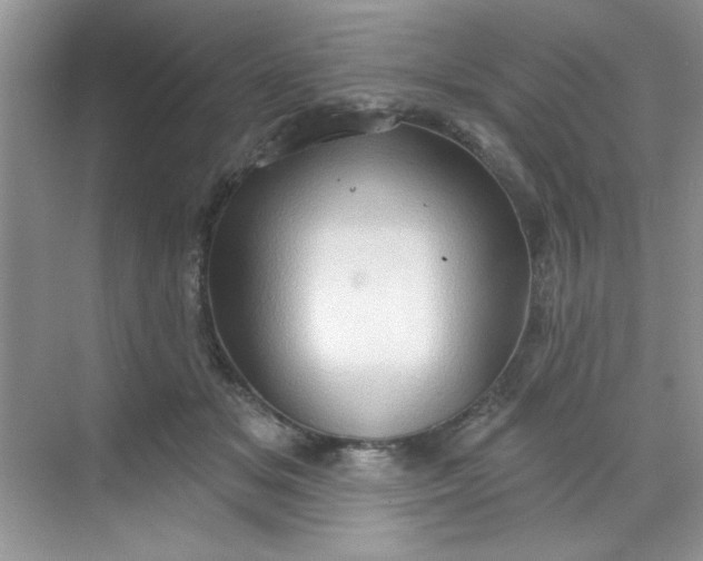 X0000068720509200605121455