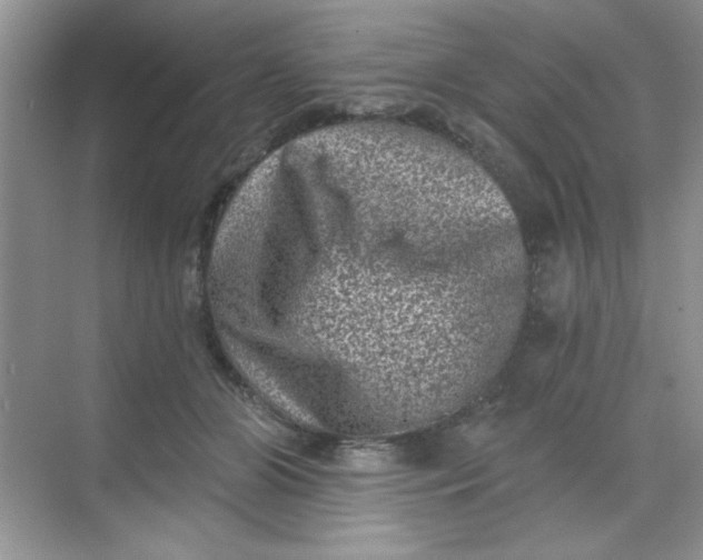 X0000068720510200605121455