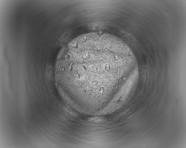 X0000068720511200605121455