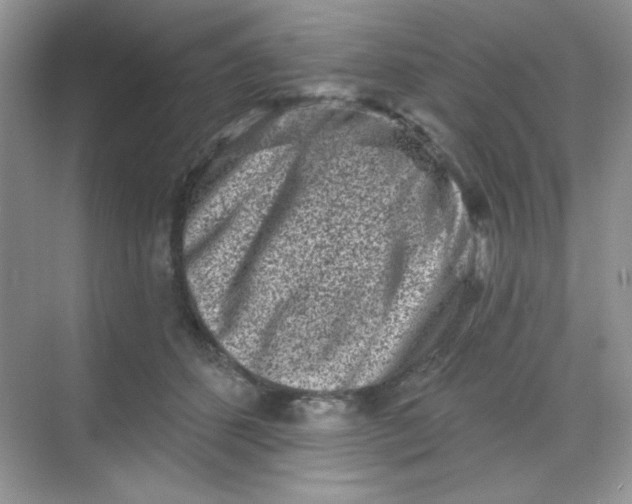 X0000068720512200605121455