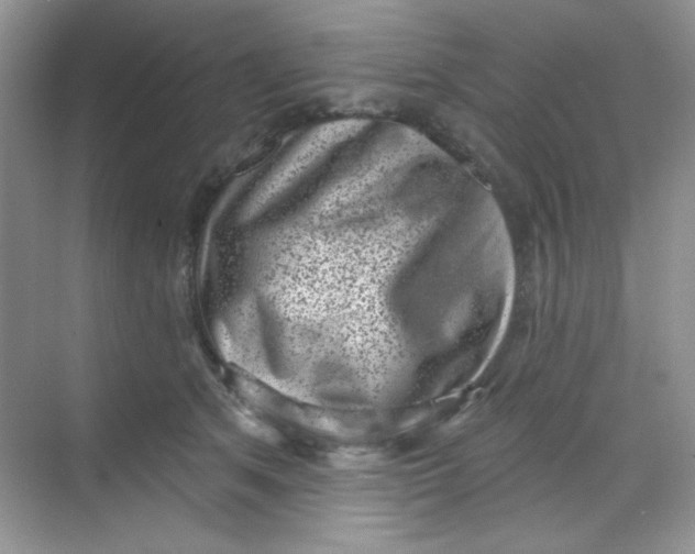 X0000068720513200605121455