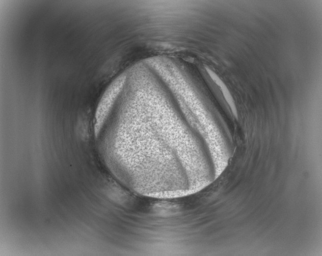 X0000068720515200605121455