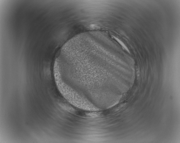 X0000068720516200605121455