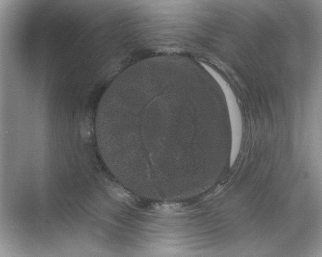 X0000068720517200605121455