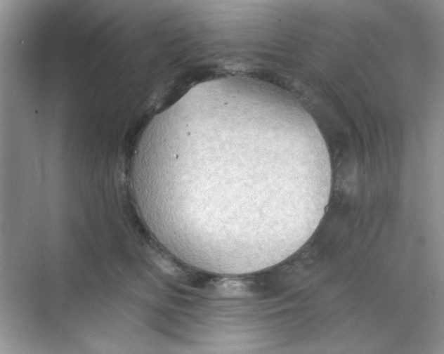 X0000068720518200605121455