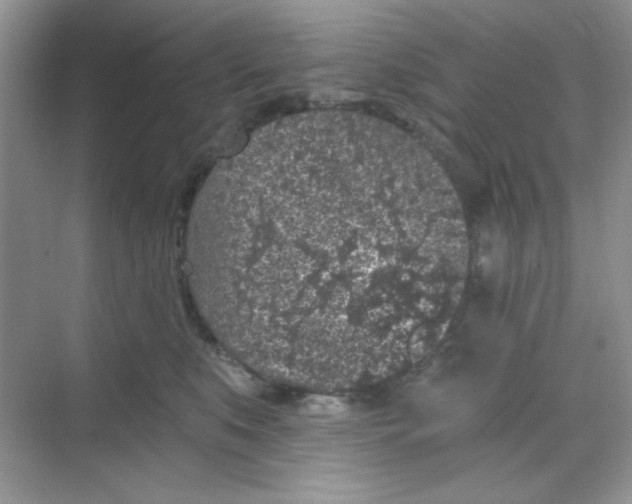 X0000068720519200605121455