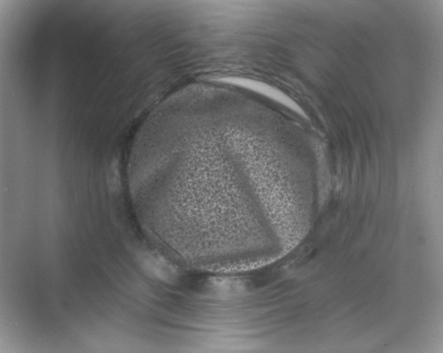 X0000068720520200605121455