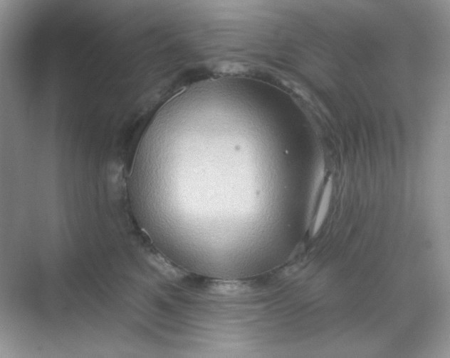 X0000068720521200605121455