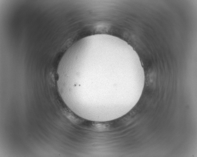 X0000068720522200605121455