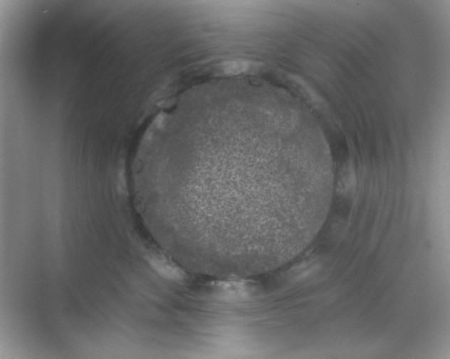 X0000068720524200605121455