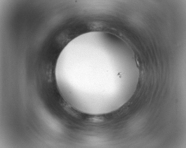 X0000068720525200605121455